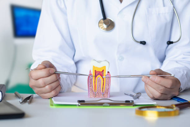 Best Weekend Emergency Dentist in Rancho Palos Verdes, CA